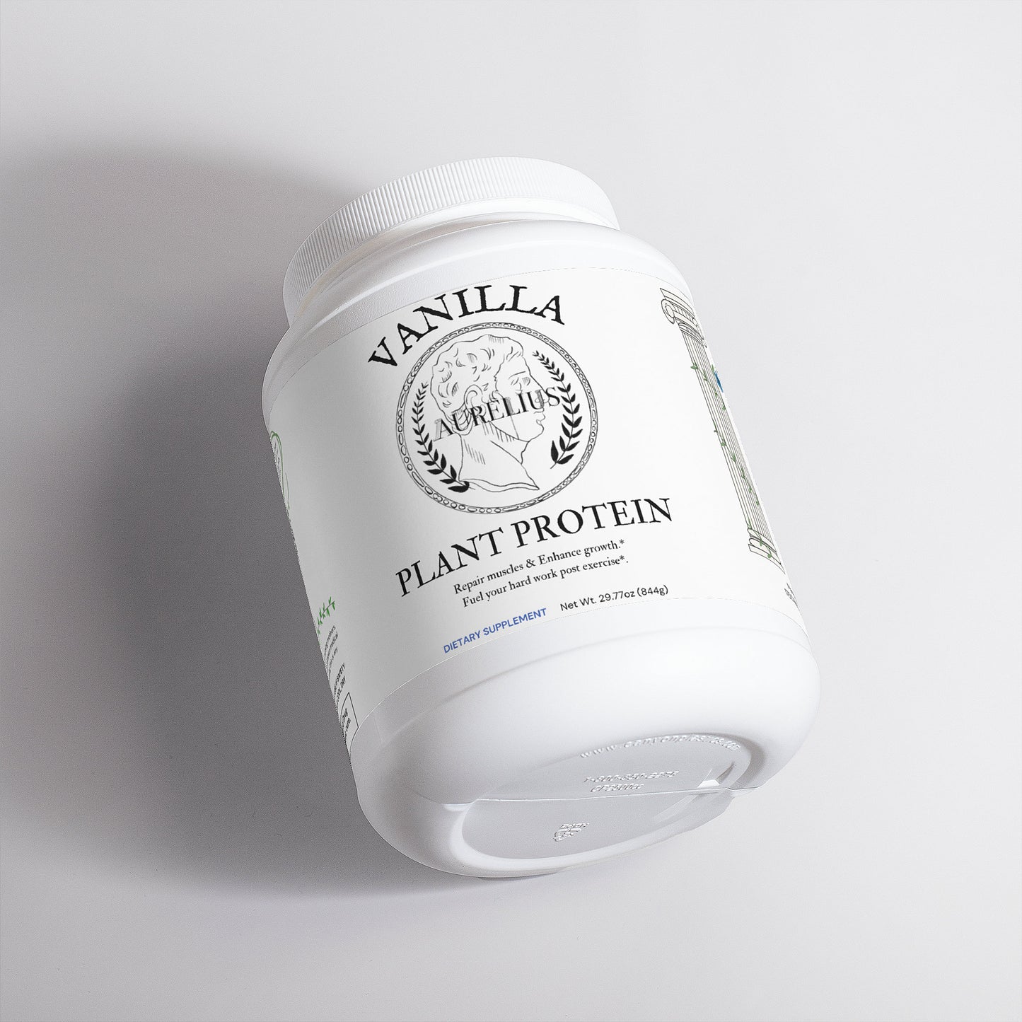 Plant Protein (Vanilla)